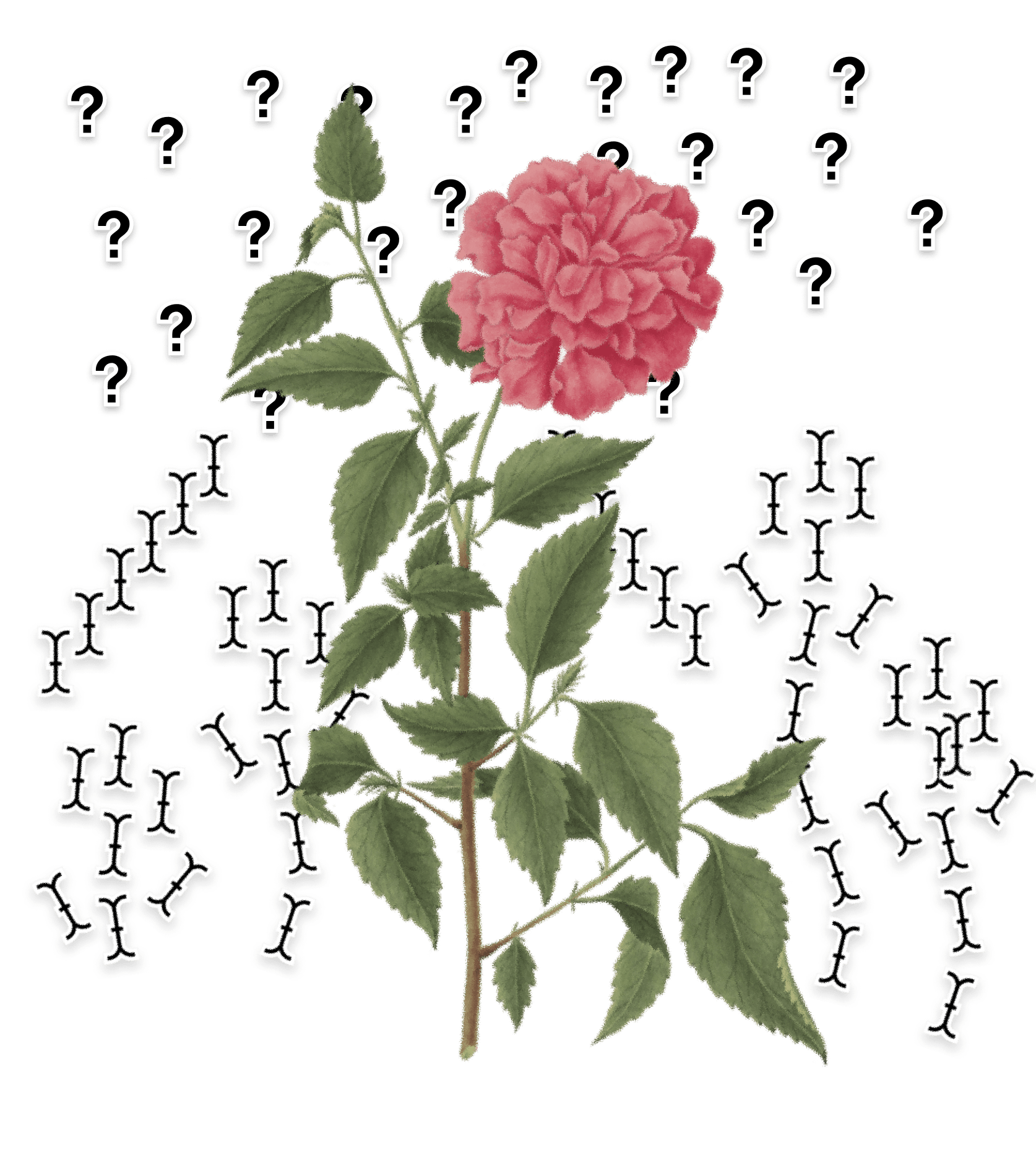 SFT Pairs
(Supervised Fine-Tuning Pairs) illustration